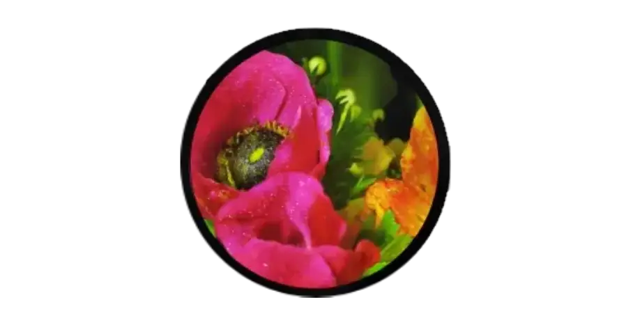 circular lcd panel
